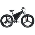 20Inch Fat Tire Electric Bike with Lithium Battery